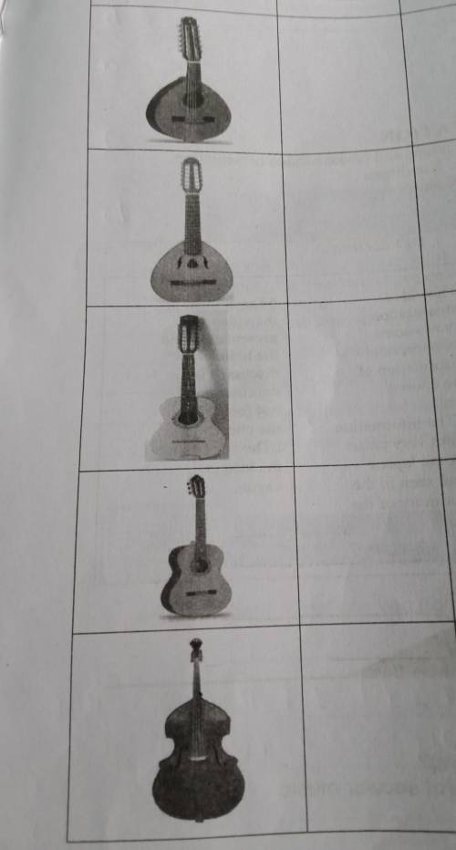 1-5 give the name of each instruments, size, number of strings and function in the esemble.