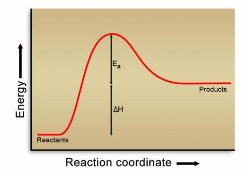 PLEASE HELP

The graph below illustrates which kind of reaction?
A: exothermic reaction
B: tra