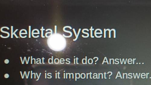 What does a Sketetal System do?