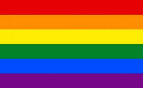 Any LGBTQ+ People? I am! (Gay, Male)