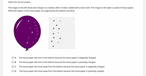 The image on the left shows the charges on a balloon after it’s been rubbed with a wool cloth. The