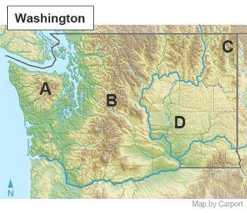 2 3 4 5 6 7 8 9 10

TIME REMAINING
59:15
The map shows physical features of Washington.
Which phys