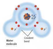 In this water molecule, how many electrons does each hydrogen atom share with oxygen?

A) two
B) o