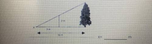 A person with a height of 2 meters stand near a tree. The tree casts a shadow that is 30 meters lon