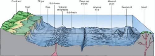 Where is new crust being added?
continent
deep sea trench
slope
island