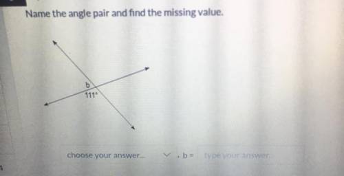 Name the angle pair and find the missing value.