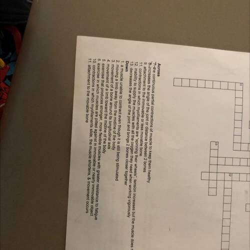 Chapter 6 the muscular system crossword puzzle