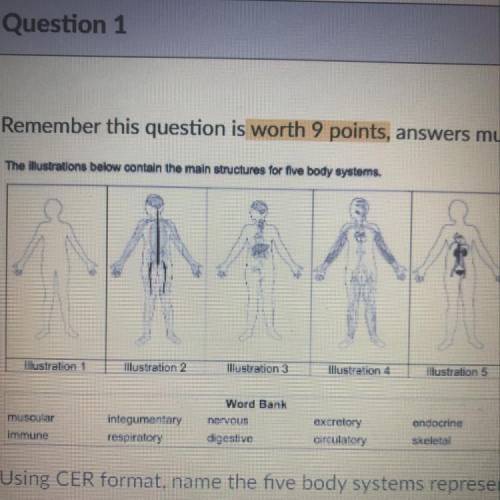 Remember this question is worth 9 points, answers must be in complete sentences

The illustrations