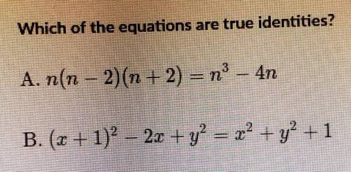 Which of the equations are true identities?

A. Only AB. Only BC. BothD. Neither