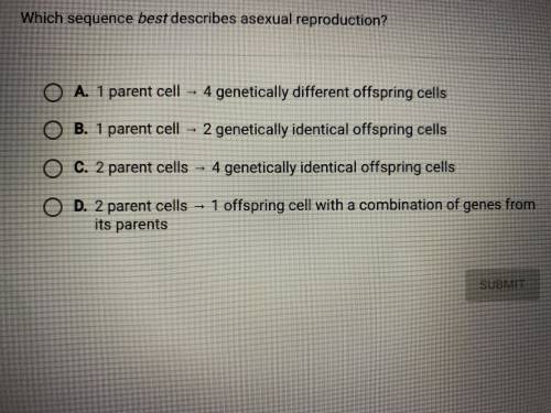 Which sequence best describes asexual reproduction?