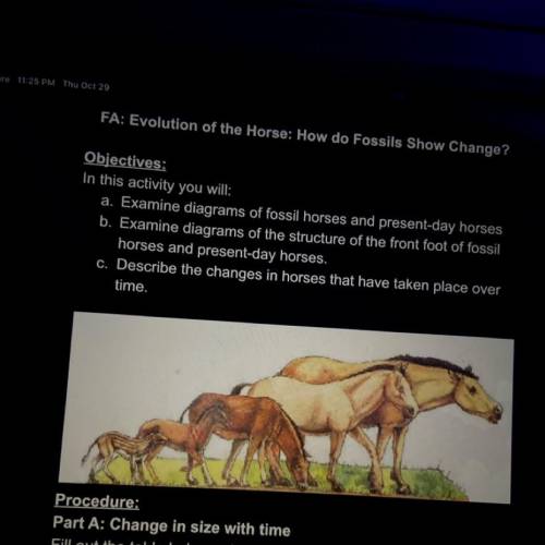 Objectives:

In this activity you will:
a. Examine diagrams of fossil horses and present-day horse