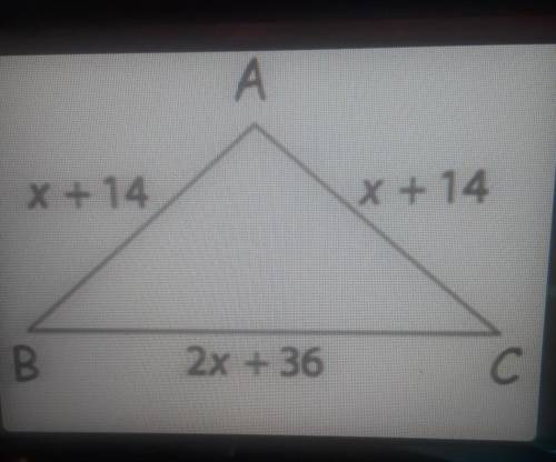Find the perimeter of the triangleTimed please help