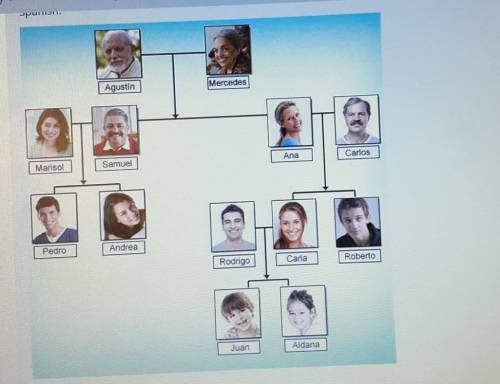 Activity Take a look at the family tree and then describe the relationship between each pair of fam