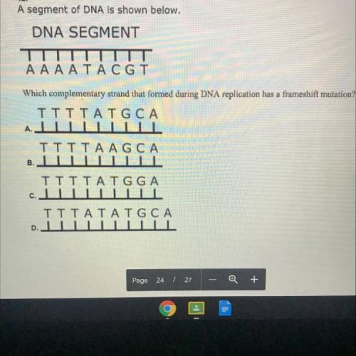 Which complementary strand that formed during DNA replication has a frameshift mutation