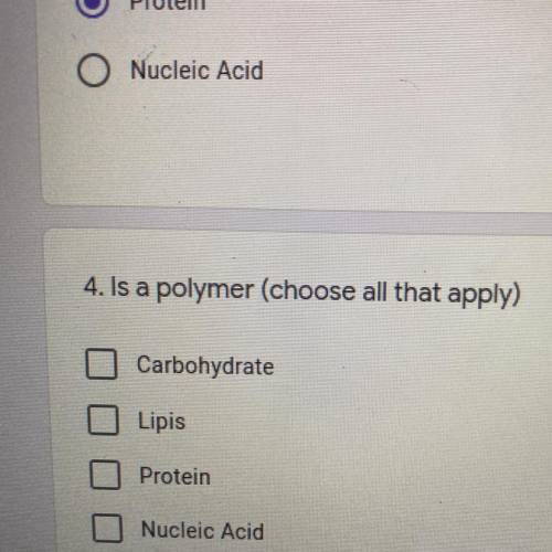 What is polymer (choose all that apply)