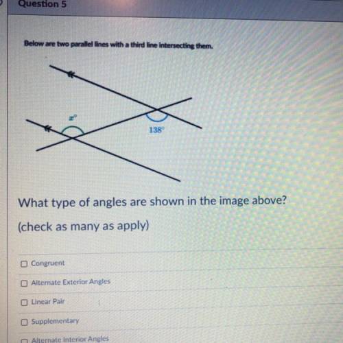 What types of angles are shown in the image above