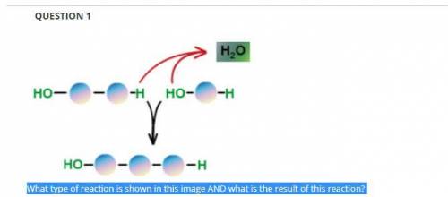 What type of reaction is shown in this image AND what is the result of this reaction?