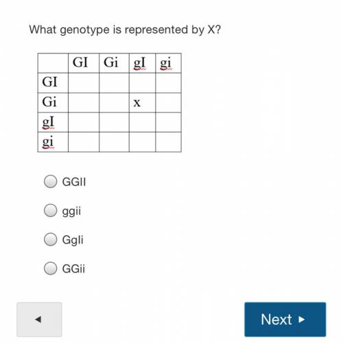 What genotype is represented by X?