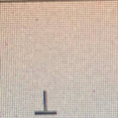 This symbol means? 
Congruence 
Perpendicular 
Parallel