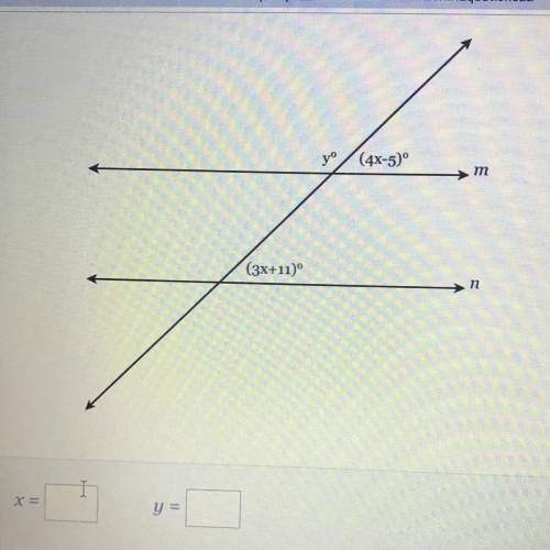 Need to find what x and y equals