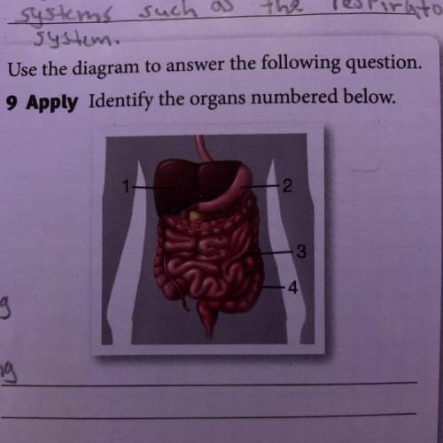 Identify the organs numbered below.
I need help asap!
