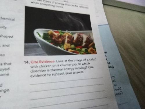 Look at the image of a salad with chicken on a counter top .in which direction is the thermal energ