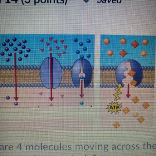 There are 4 molecules moving across the membrane in this diagram. How many of

them are moving pas