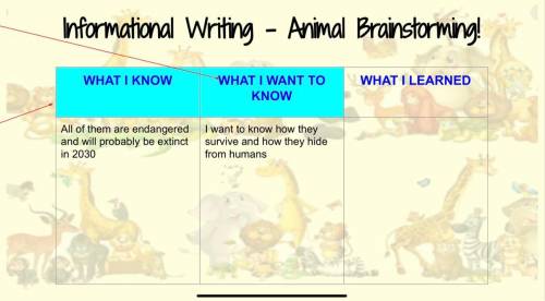Please help me with my informative writing about an animal. The chosen animal is an orangutan! Ther