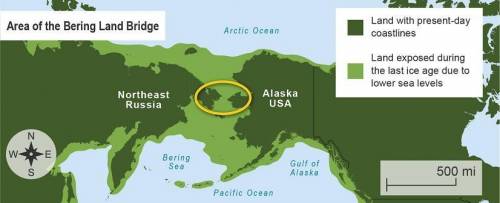 Which statement does the map support?

Humans from North America crossed the Bering land bridge to