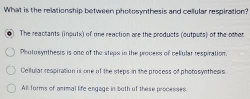What is the relationship between photosynthesis and cellular respiration?
