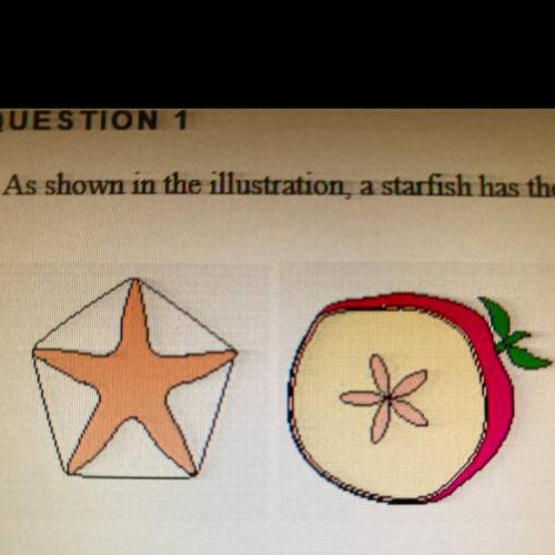As shown in the illustration, a starfish has the shape of a pentagon. Look at the illustration of