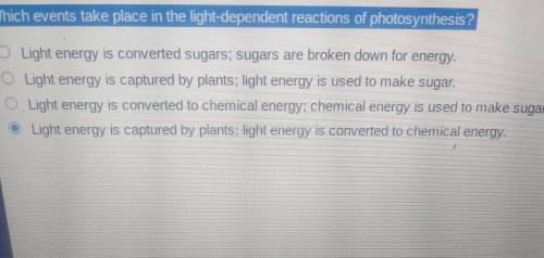 Which events take place in the light dependent reactions of photosynthesis