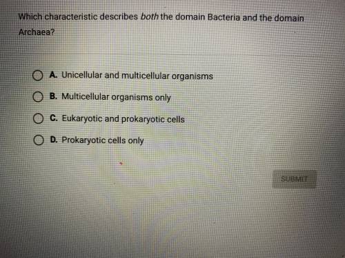 Which characteristic describes both domain Bacteria and the domain Archaea?