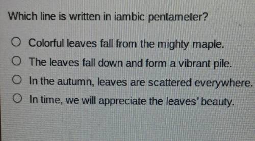 I dont really know iambic pentameter