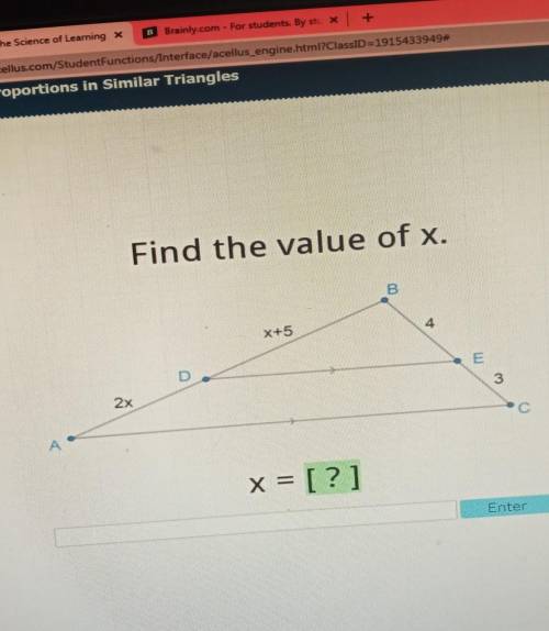 I need help and this is important. x=