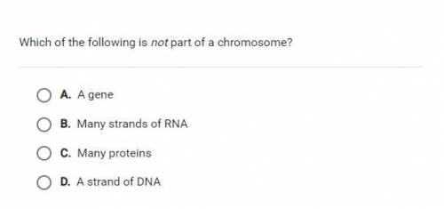 Which of the following is not part of a chromosome?