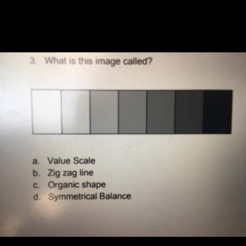 [ASAP LOOK AT PICTURE]

What is this image called?
a. Value Scale
b. Zig zag line
c. Organic shape