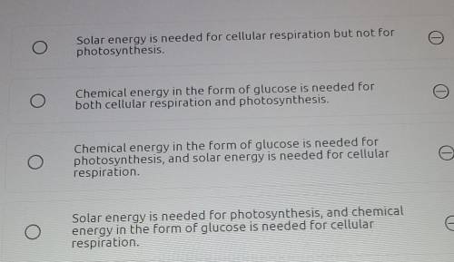 Which statement accurately describes the energy needs for photosynthesis and cellular respiration?