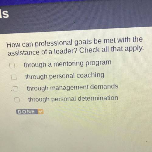 How can professional goals be met with the assistance of a leader? Check all that apply.

through