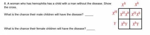 WILL MARK BRAINLIEST FOR CORRECT ANSWER!

A woman who has hemophilia has a child with a man withou