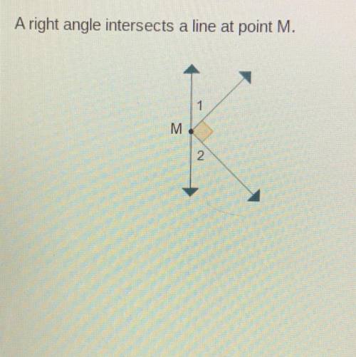A right angle intersex line at point M. which statement is true about angles one and two?

-they a