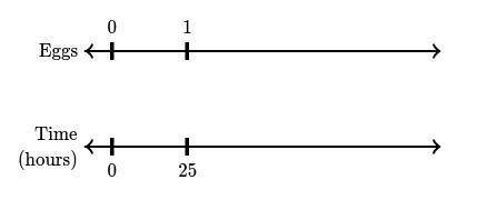 The double number line shows the amount of time a hen needs to lay 111 egg.

Complete the table to