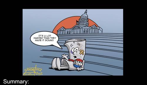 Write a 2-3 sentence summary about what each political cartoon is saying about Congress/Legislative