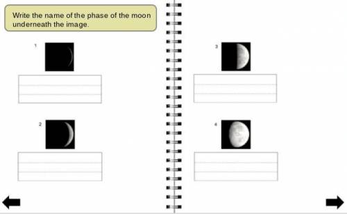 Can some one right the name of each moon phase in a row please.