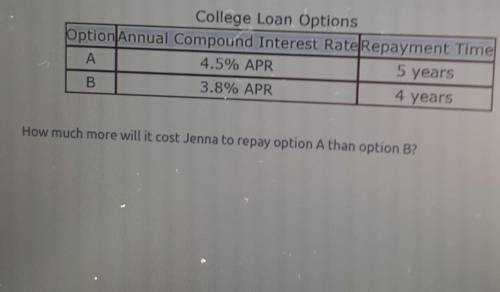 Jenna is taking out a $1,200 student loan to pay for some college expenses. She is considering two