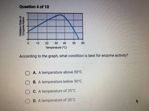 PLEASE HELP! :(According to the graph, what condition is best for enzyme activity?