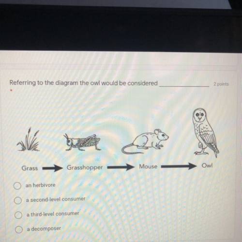 Referring to the diagram the owl would be considered

an herbivore
a second-level consumer
a third