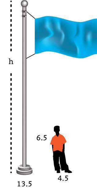 How tall is the pole?