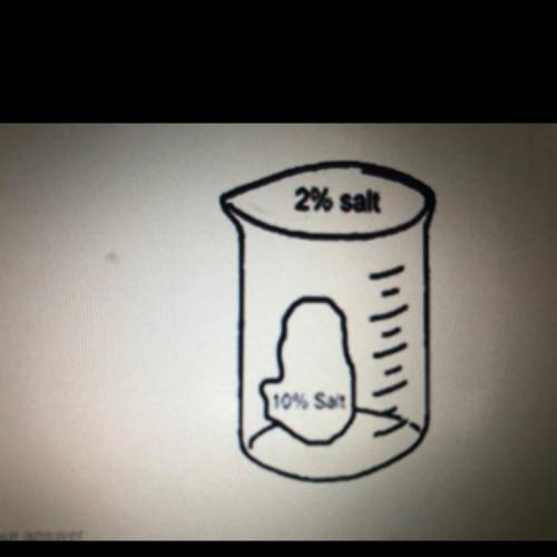 6. Study the beaker and its content in the diagram below. in what direction 2 points

most of the