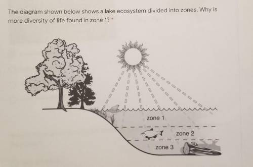 The diagram shown below shows a lake ecosystem divided into zones. Why is more diversity of life fo